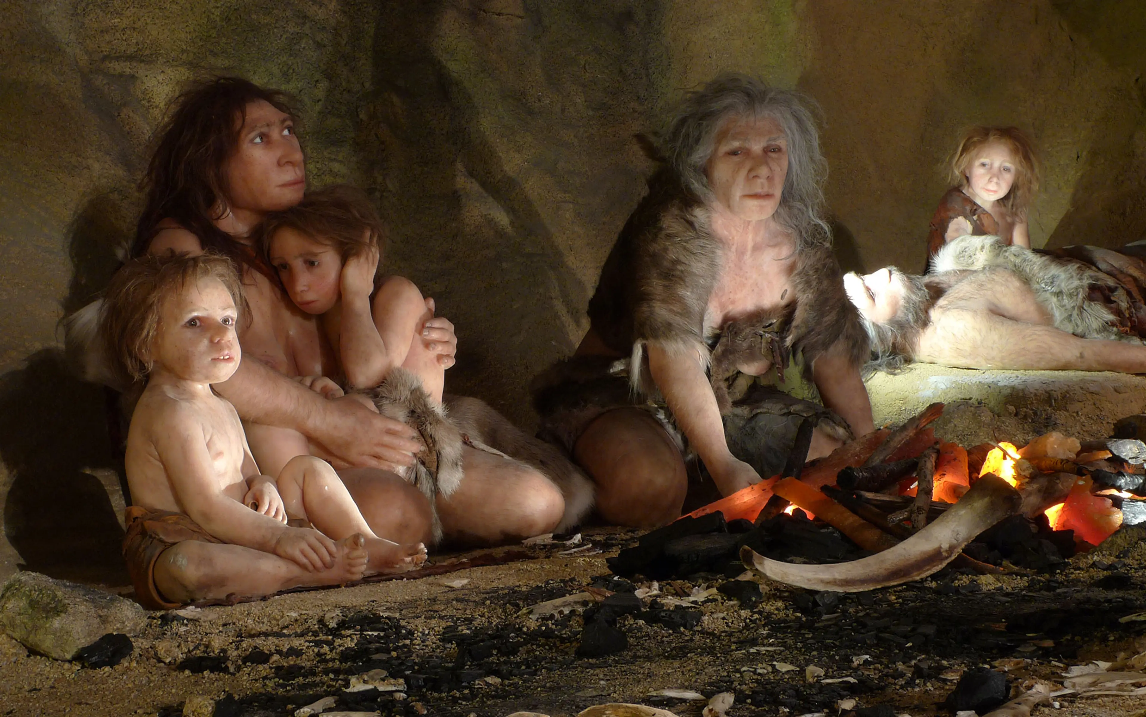 «Дикая» Европа до земледелия: как неандертальцы и охотники-собиратели изменили континент задолго до фермеров