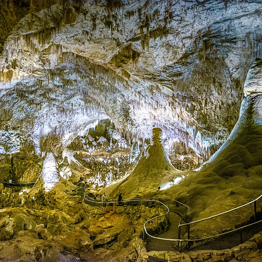 Пещеры Национальный парк Carlsbad Caverns: под землёй, где «нет света», нашли фотосинтез