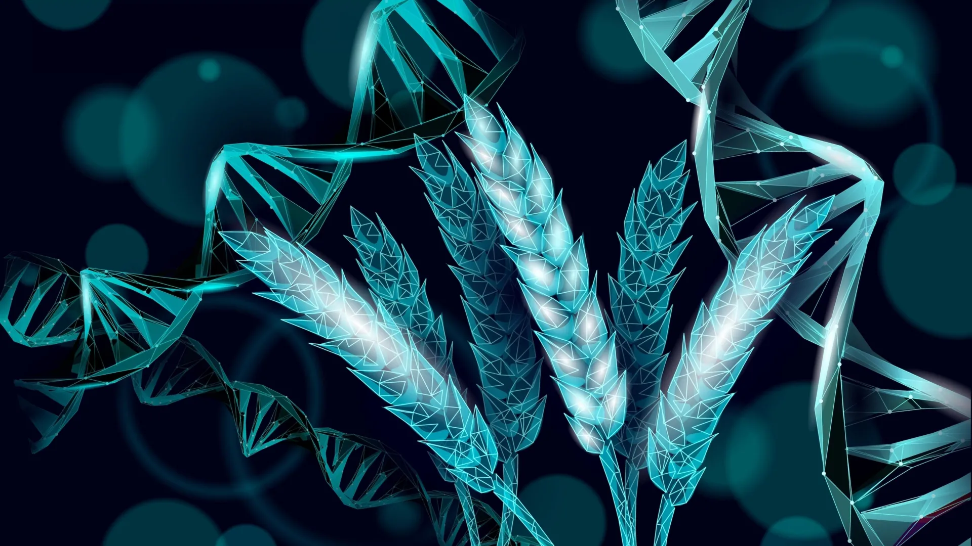 Пшеница, которая сама делает себе удобрение: как CRISPR может изменить сельское хозяйство